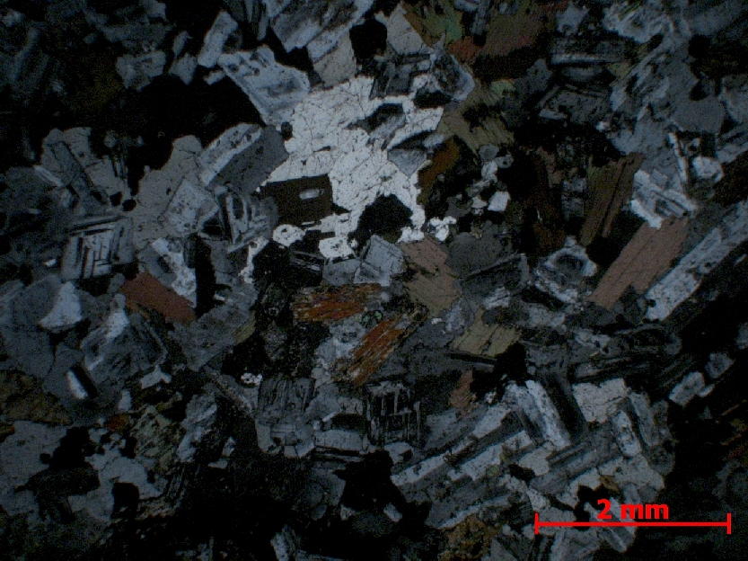  Microscope Granodiorite Granodiorite de Traversella Alpes  Traversella 